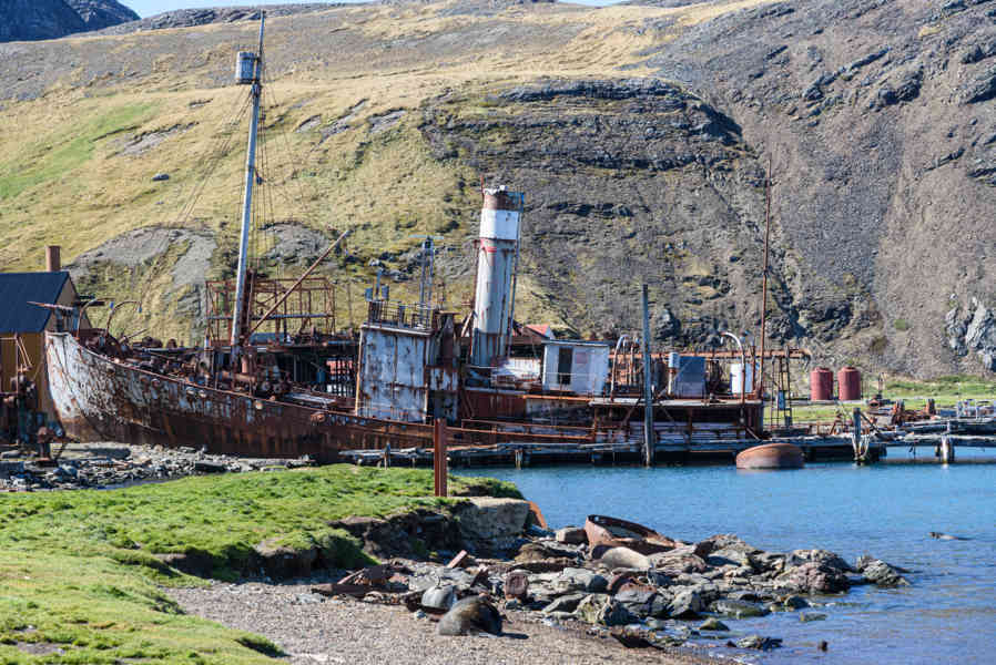 Islas Georgias del Sur 041 - Grytviken - Harpon Jetty.jpg